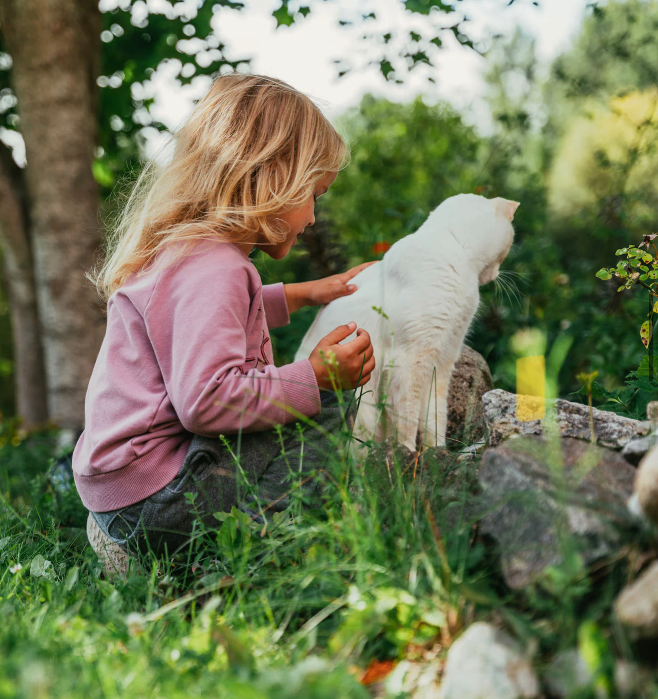 Tipps für eine glückliche Beziehung zwischen Kindern und Katzen