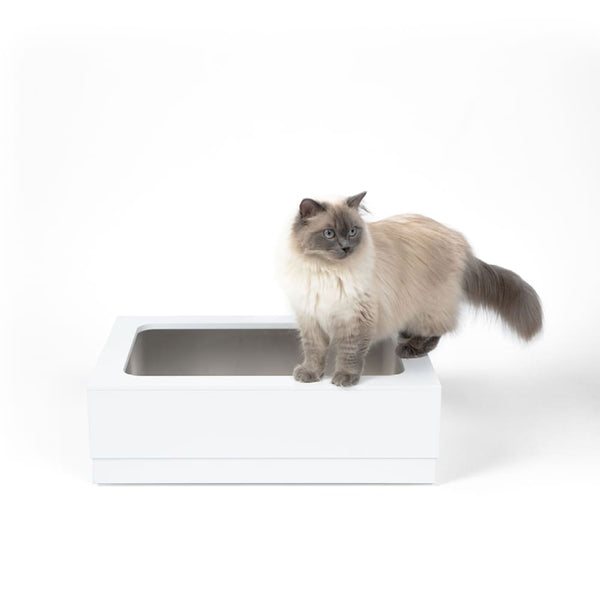 Die perfekte Katzentoilette: Hygiene, Stil und Komfort in einem