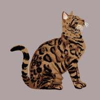 Bengal