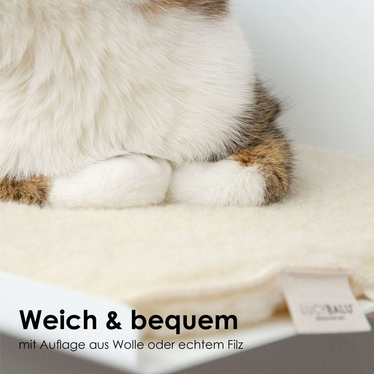 bequeme Katzen Wandliege