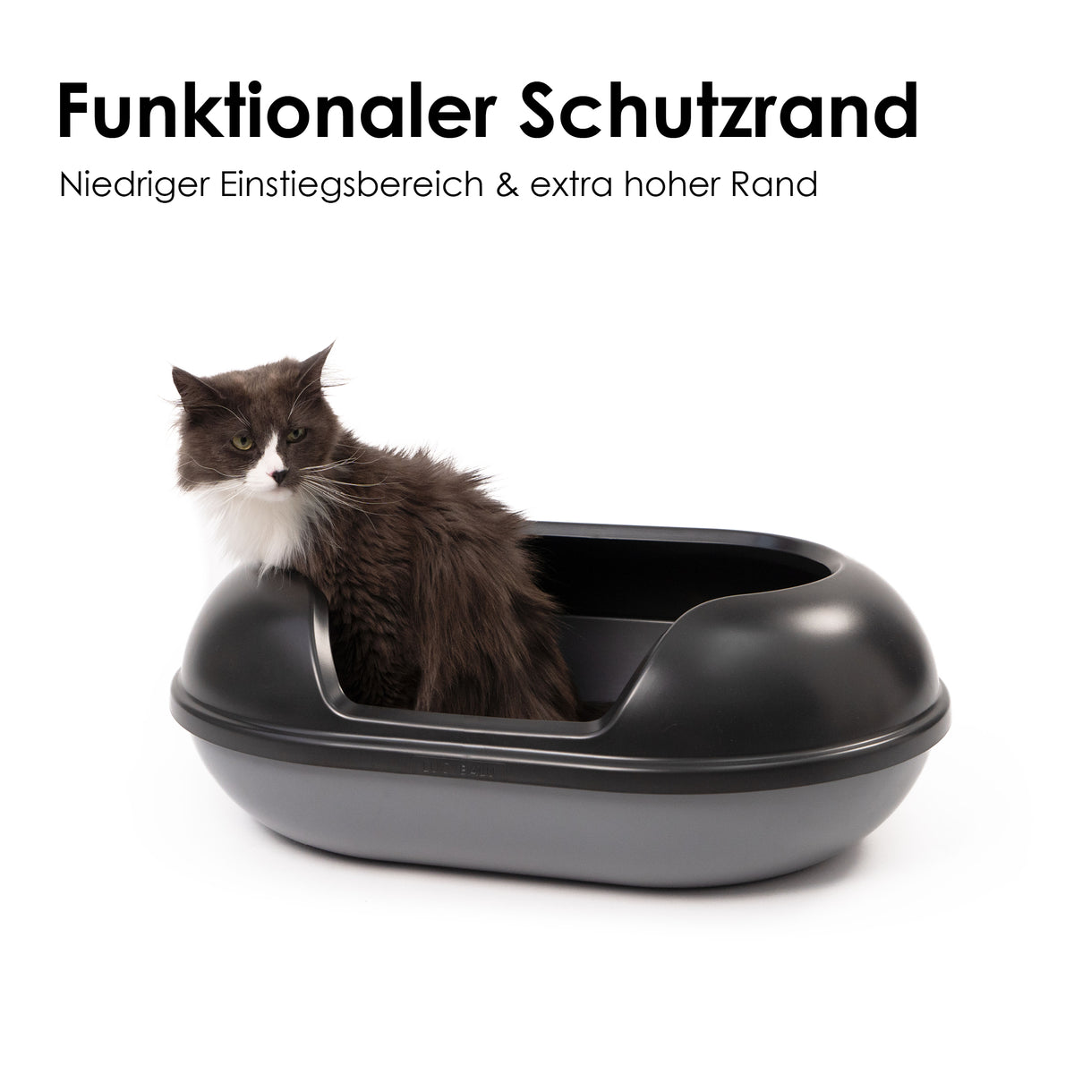 Katzenklo mit funktionalem Schutzrand