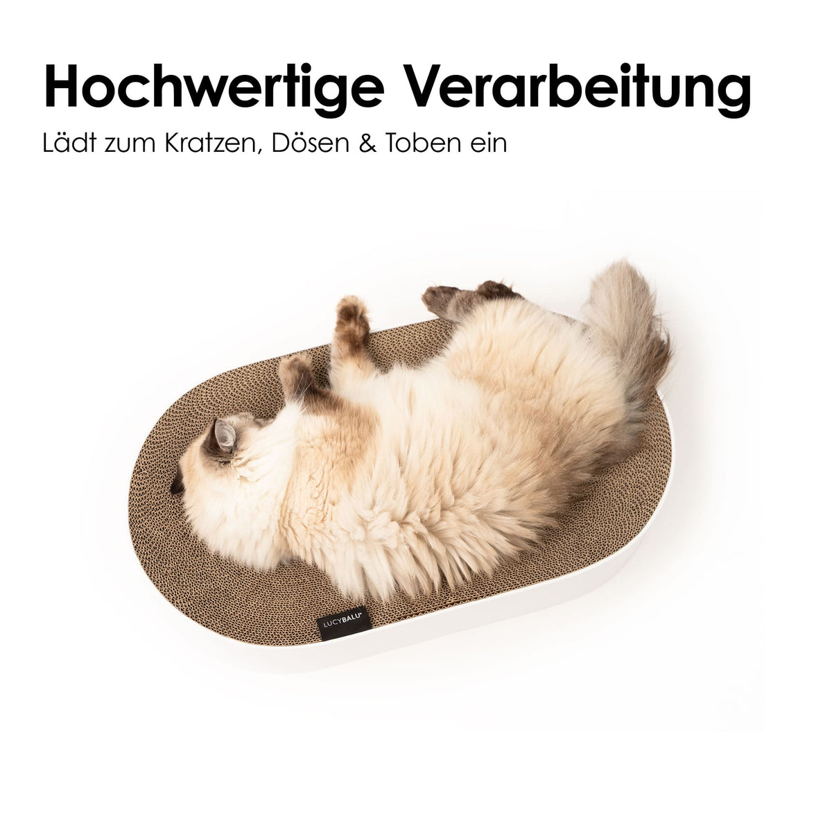 SCRATCHBED Kartonbett