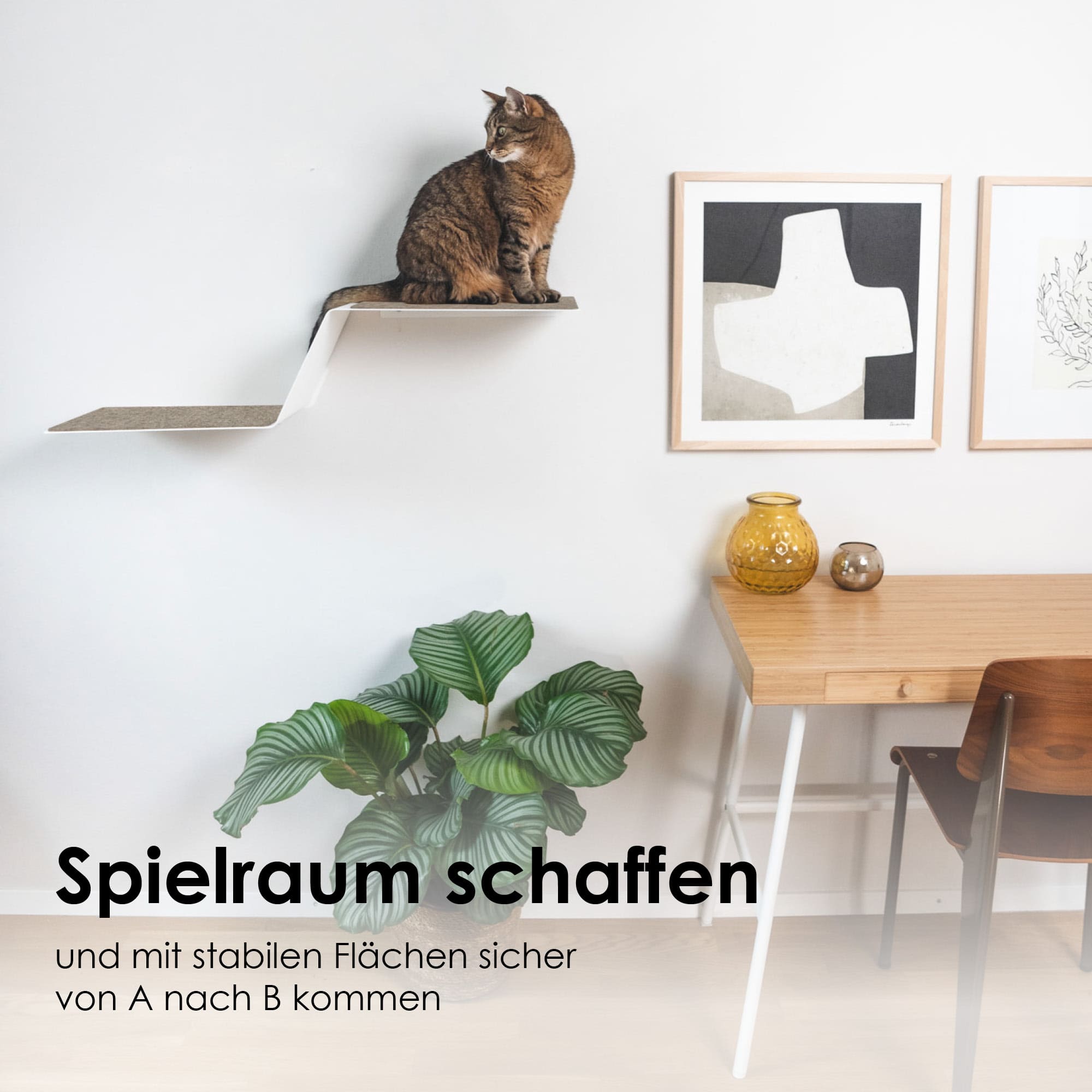 Katzenstufe für die Wand