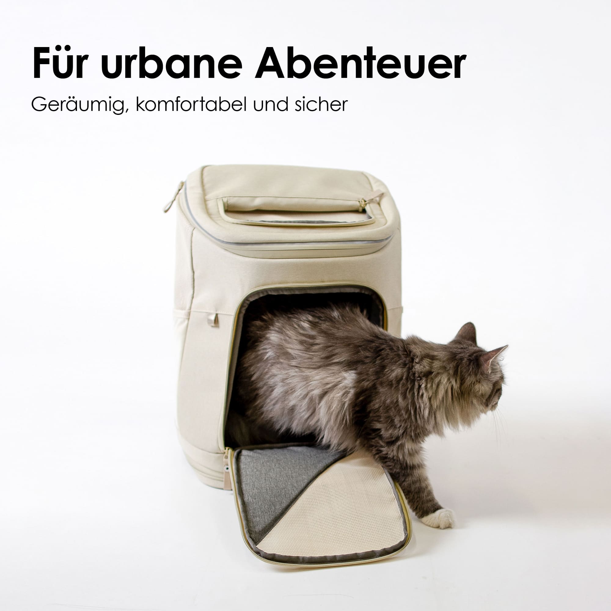 sicherer Rucksack für Katzen