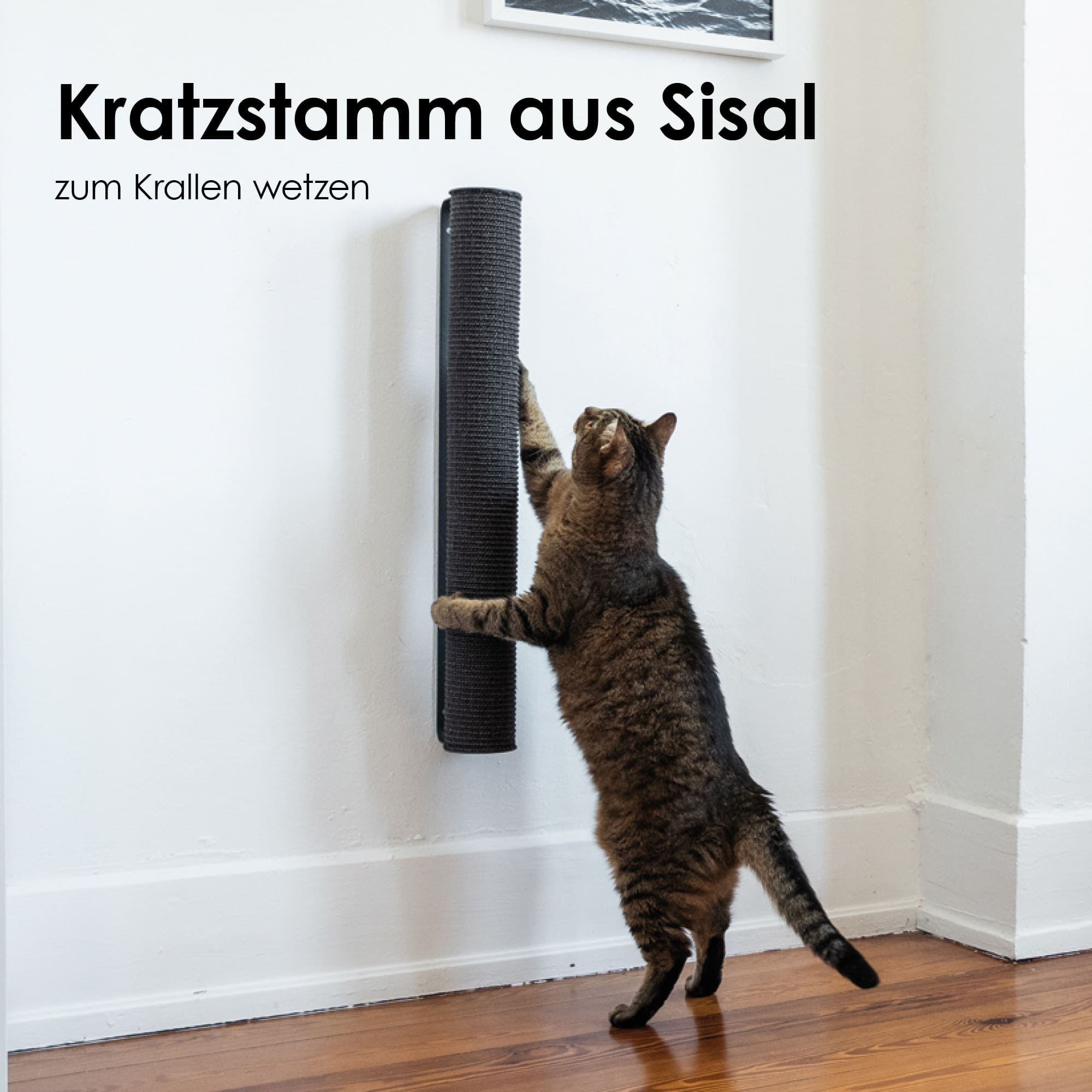 Katzen Kratzstamm schwarz aus Sisal