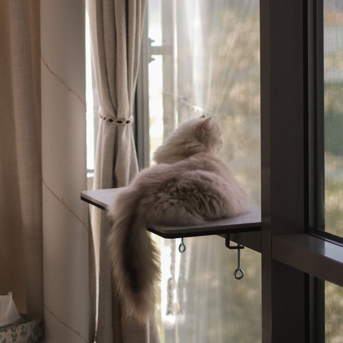 Katzen Fensterbankliege mit Filzauflage